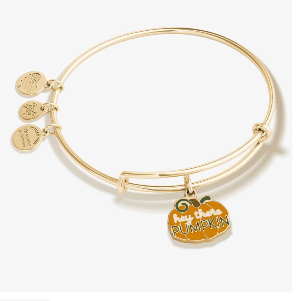 Alex and Ani Hey there pumpkin bangle